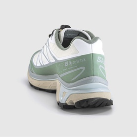 XT-6 GTX Trainers