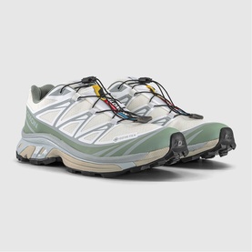 XT-6 GTX Trainers
