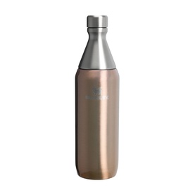 The Pale Gold Shine All Day Slim Bottle 0.59L