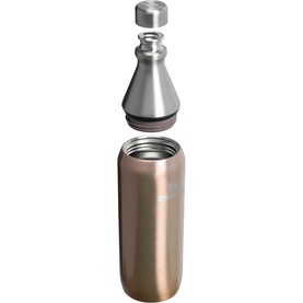 The Pale Gold Shine All Day Slim Bottle 0.59L