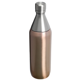 The Pale Gold Shine All Day Slim Bottle 0.59L