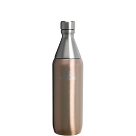 The Pale Gold Shine All Day Slim Bottle 0.59L