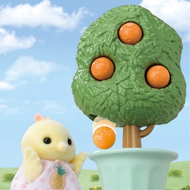 Citrus Bird Family Set