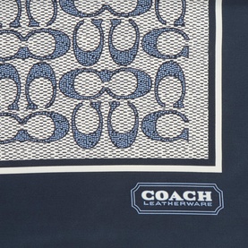 Textured Signature C Monogram Scarf