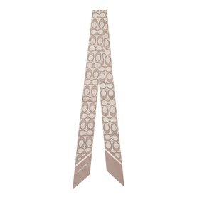 Logo Silk Skinny Scarf