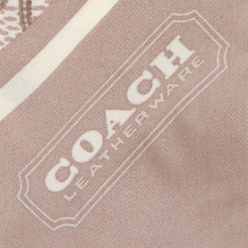 Logo Silk Skinny Scarf