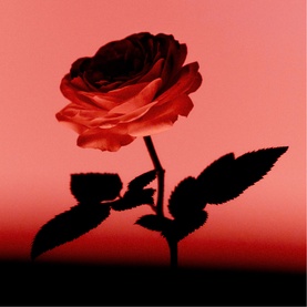 Contre-Jour Eau de Parfum