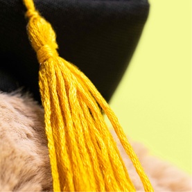 Bashful Bunny Graduation Outfit 31cm