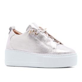 Raya Platform Trainers