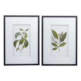 Botanical Wall Art 1 Two-Piece Set