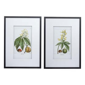 Botanical Wall Art 2 Two-Piece Set