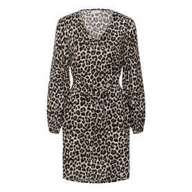 Marana Leopard Dress