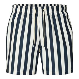 Dane Striped Swim Shorts