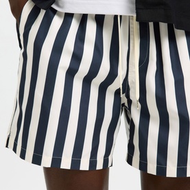 Dane Striped Swim Shorts