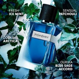 Y Iced Cologne Eau de Toilette Intense