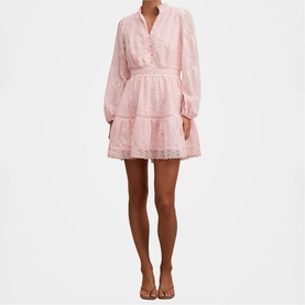 Thalia Embroidered Mini Dress