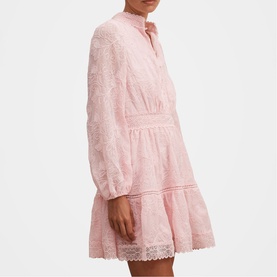 Thalia Embroidered Mini Dress