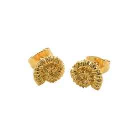 Juvi Ammonite Shell Earrings in gold, 18ct gold-plated brass stud earrings with spiral fossil shell motif