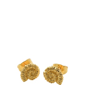 Ammonite Shell Earrings