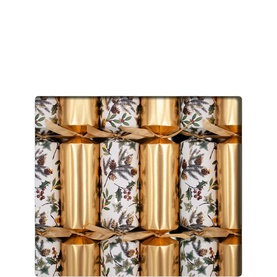 6 Pack Warmest Wishes Christmas Crackers