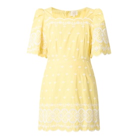Charlotte Embroidered Mini Dress