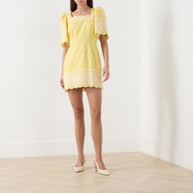 Charlotte Embroidered Mini Dress