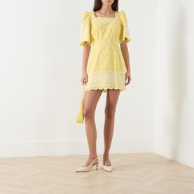Charlotte Embroidered Mini Dress