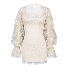 Aliana Mini Corset Dress