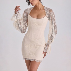 Aliana Mini Corset Dress