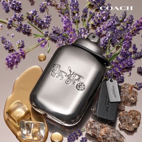 Pure Platinum Parfum
