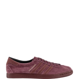 Galapagos Trainers