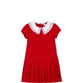 Elegant Pleated Dress