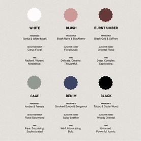 Blush Rose & Blackberry Diffuser 200ml