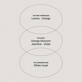 Tonka & White Musk Candle 250g