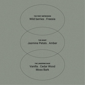 Amber & Freesia Hand & Body Wash Refill 400ml