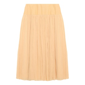 Crinkle Flared Skirt