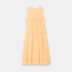 Drop Waist Flared Dress