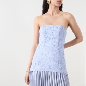 Lacy Embroidered Pleated Gown