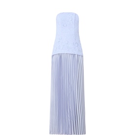 Lacy Embroidered Pleated Gown