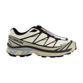 XT-6 GTX Trainers