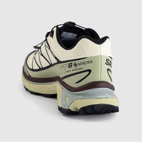 XT-6 GTX Trainers