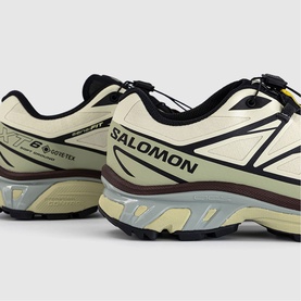 XT-6 GTX Trainers
