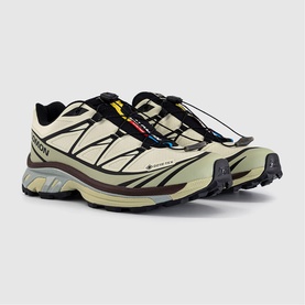 XT-6 GTX Trainers