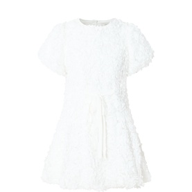 Petalscape Tulle Mini Dress