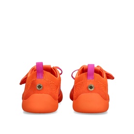 Biscotti-H Trainers