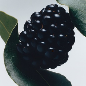 Blackberry & Bay Car Diffuser Refill