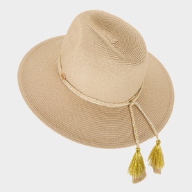 Logo Collapsible Fedora