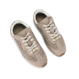 Tivoli Laser Trainers