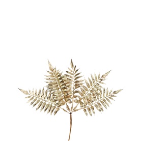 Fern Pick 25cm