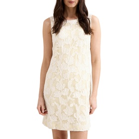 Bryony Lace Mini Dress